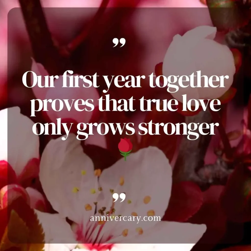 1 Year Relationship Anniversary Quotes
