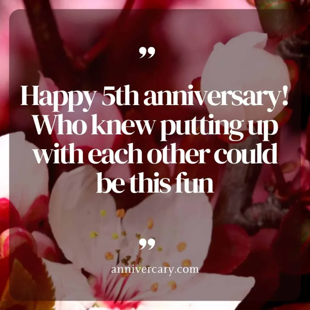 5 Year Anniversary Quotes Funny