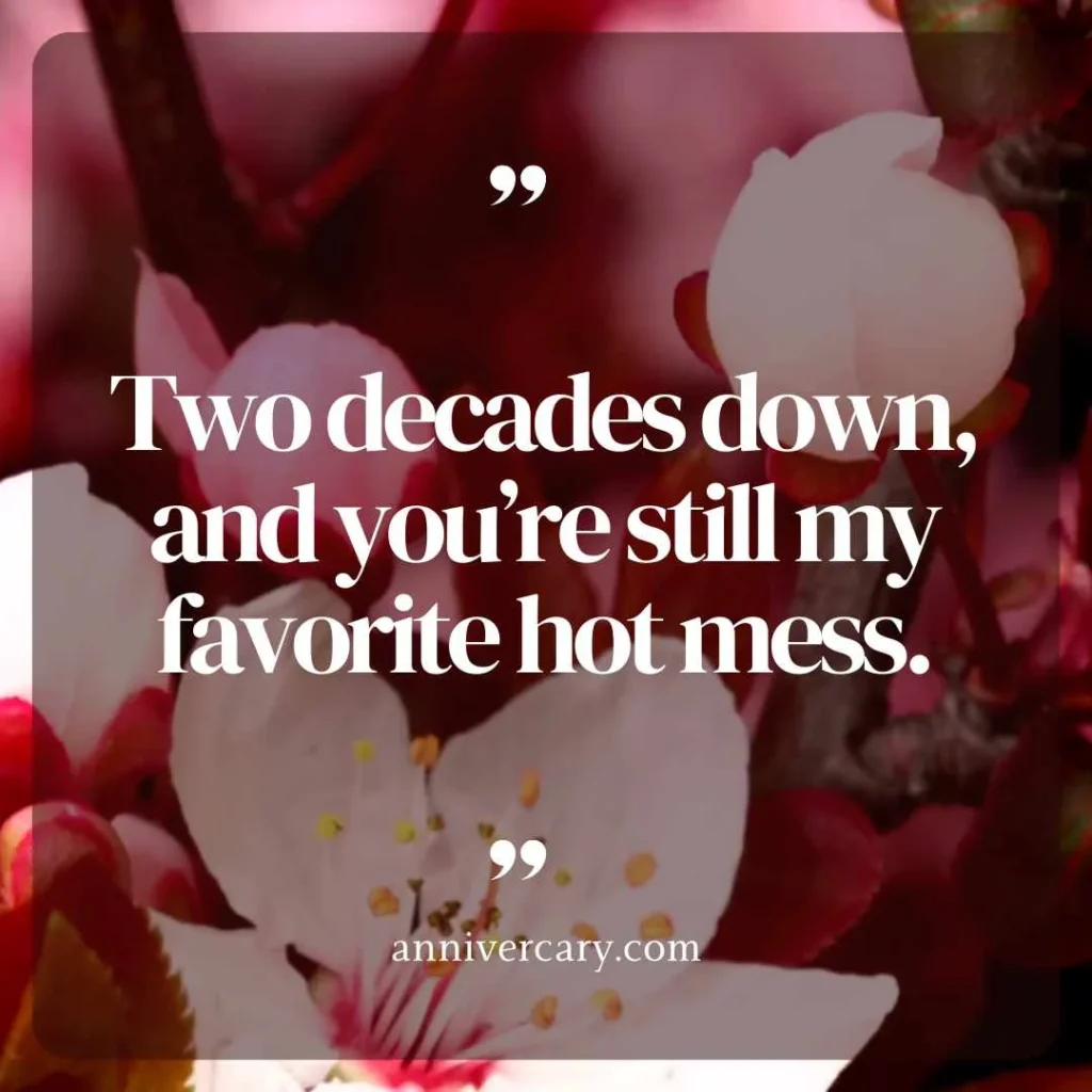Witty 20th Anniversary Quotes