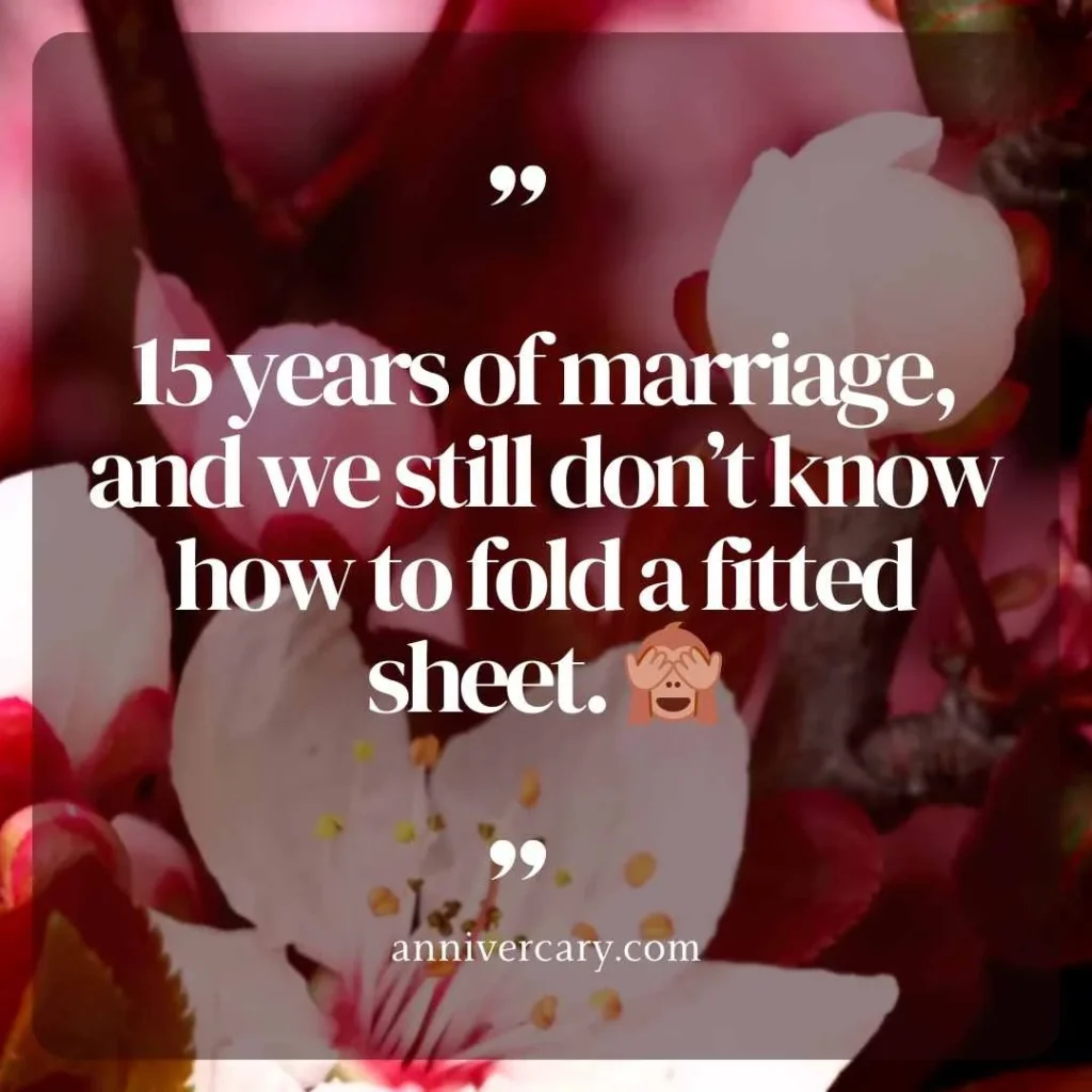 15 Year Anniversary Quotes Funny 