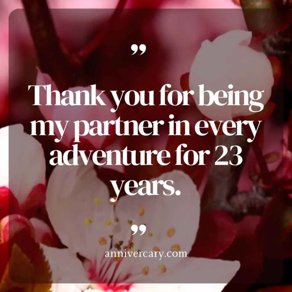 Heartfelt 23rd Anniversary Quotes