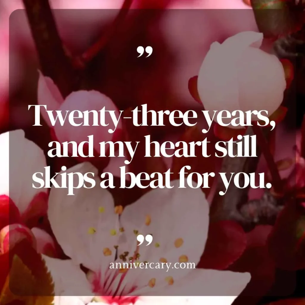 Romantic 23rd Anniversary Quotes