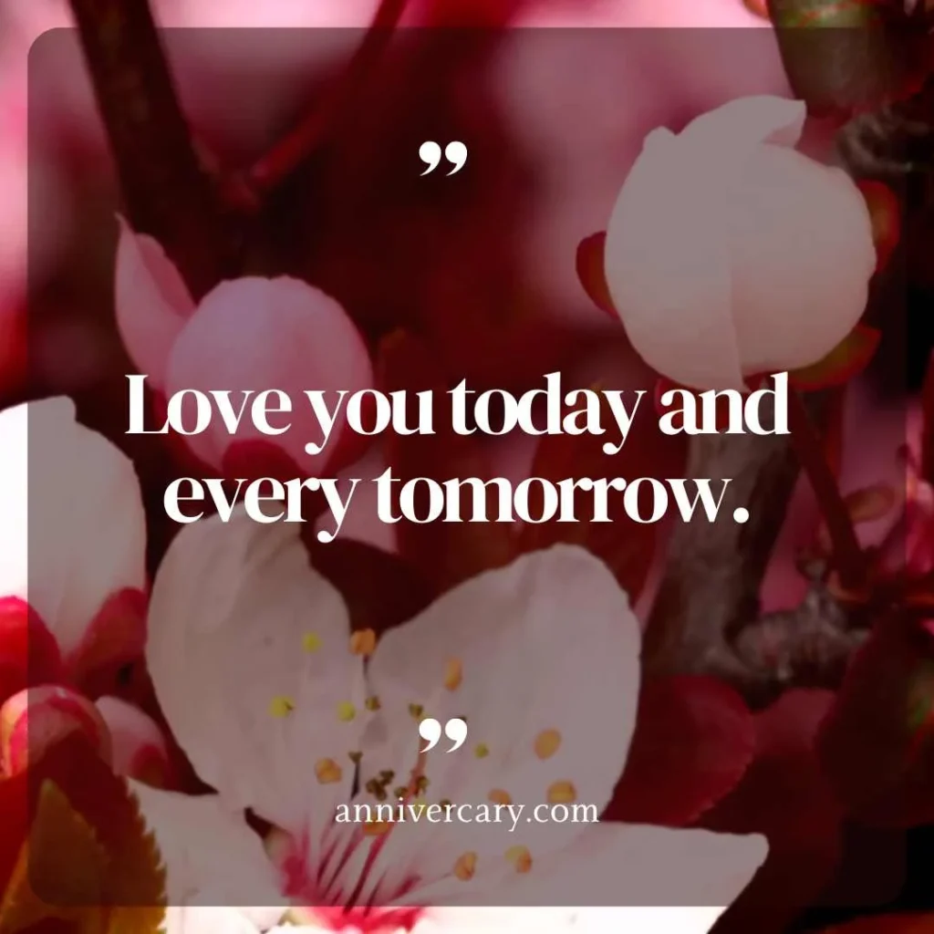 Short Anniversary Quotes for Boyfriend
