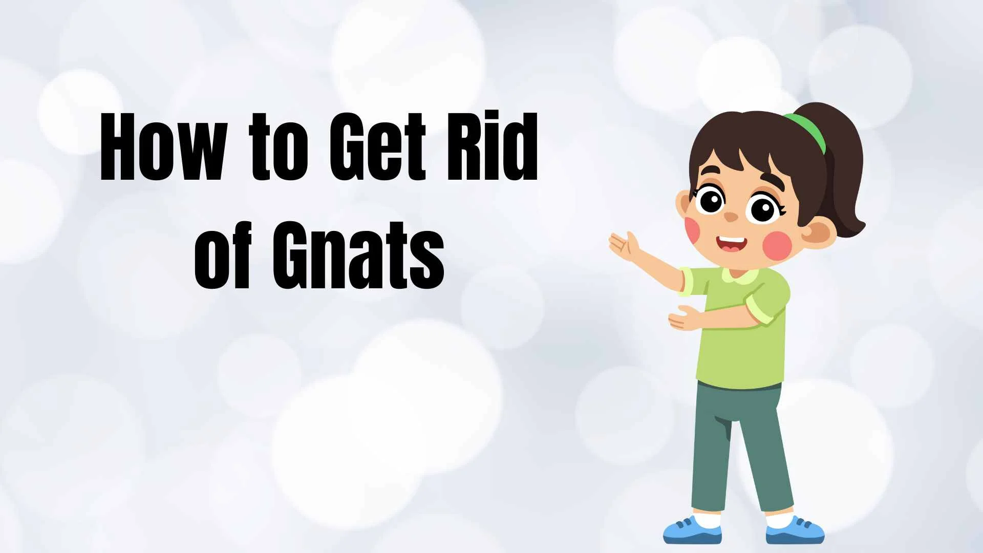 Read more about the article 🪰 How to Get Rid of Gnats: The Ultimate 2025 Guide to a Gnat-Free Home